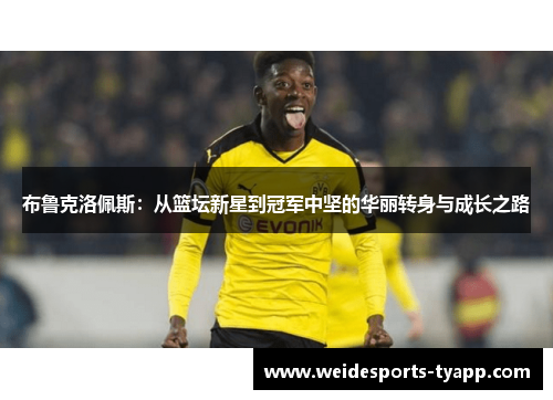 布鲁克洛佩斯：从篮坛新星到冠军中坚的华丽转身与成长之路